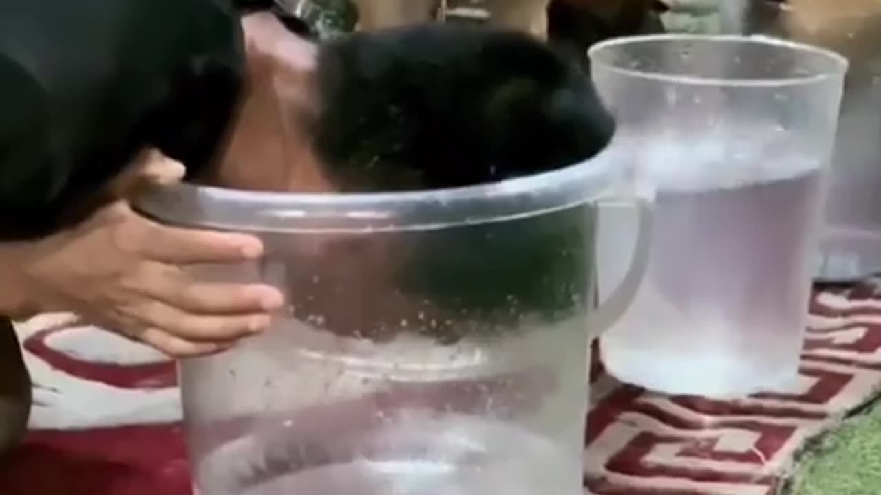 😂👊 When Cheating Backfires in the Worst Way Possible | FunFM