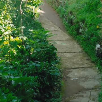 Struggling? Here’s How Winners Think