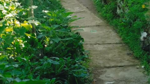 Struggling? Here’s How Winners Think