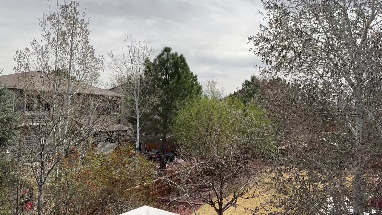 What a nice day outside