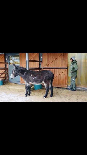 🇷🇺 🏹 ⚡️ Zhorik had been transporting ammunition in the special operation zone ⚡️