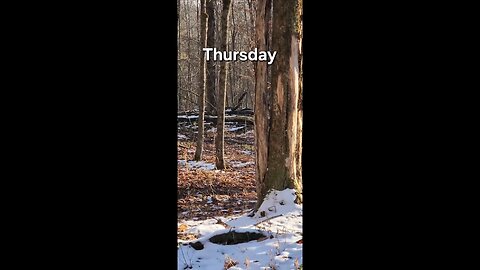 The original Transformer