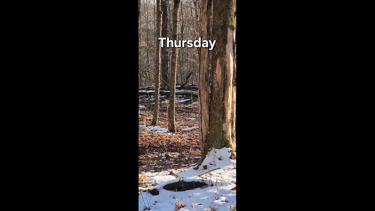 The original Transformer