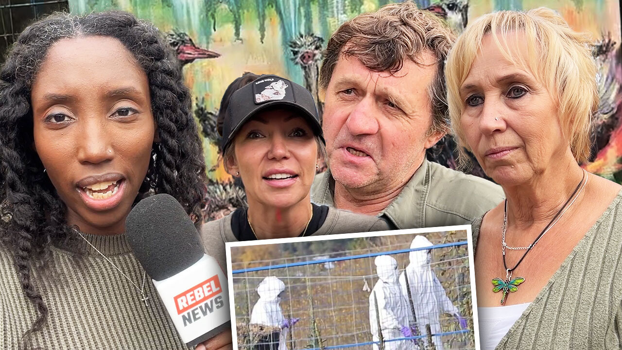 Ostrich vet granted limited access to seized flock after CFIA animal cruelty claims go viral