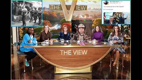 Matt Morse DESTROYS The View over the INSURRECTION Act