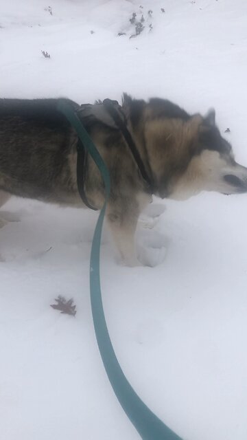 Wednesday December 3, But you belong to God.