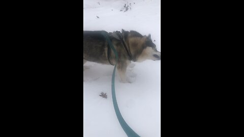 Wednesday December 3, But you belong to God.