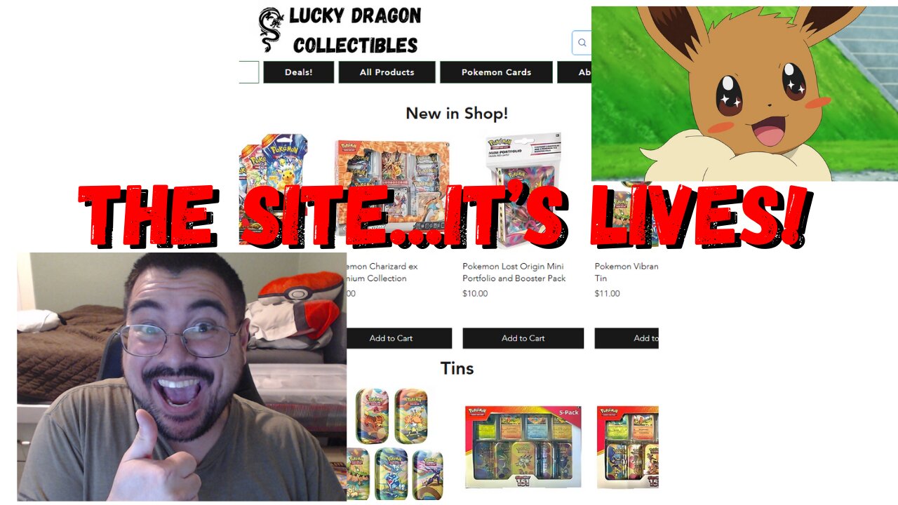 Going Live with a Pokemon Online Store in 2025!