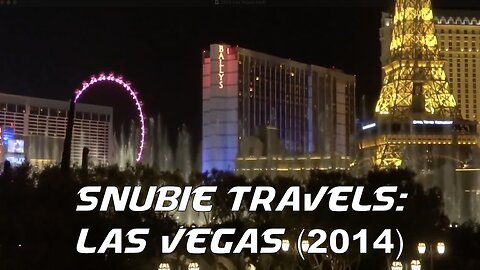 Snubie Travels: Las Vegas (2014)