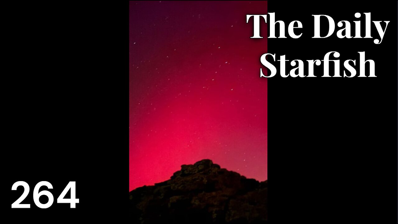 The Daily Starfish #264