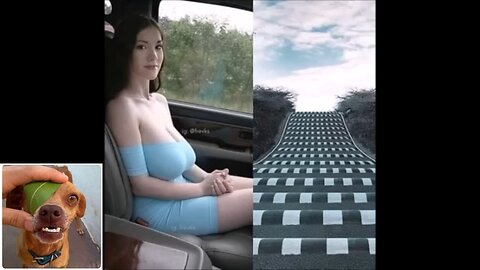 Memes That Will 99.0597% Make You Laugh. (e821)