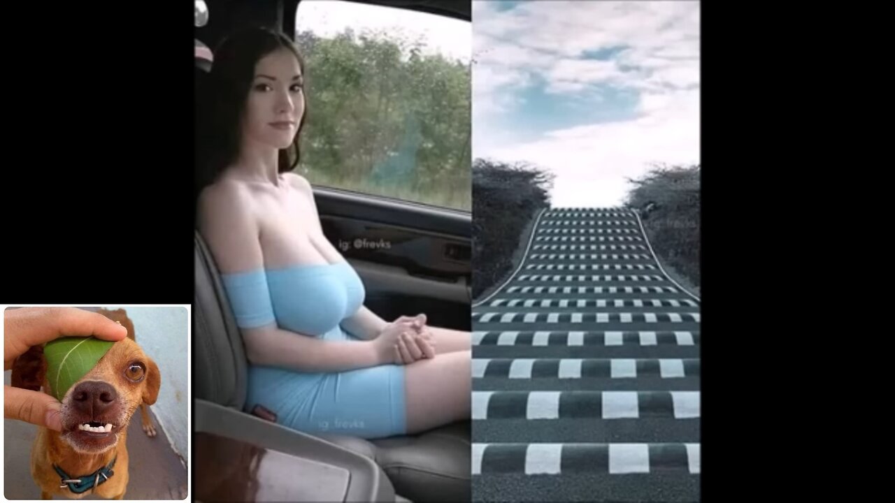 Memes That Will 99.0597% Make You Laugh. (e821)