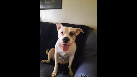 and thay all lived happily ever after