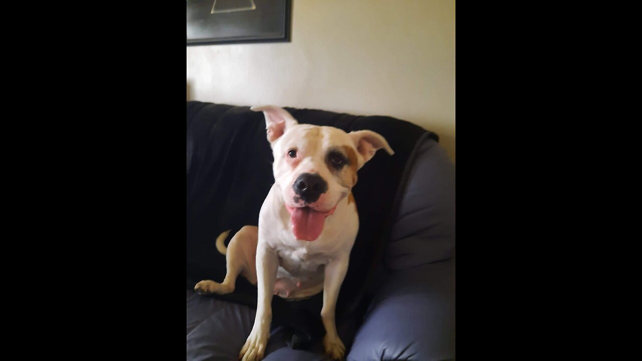 and thay all lived happily ever after