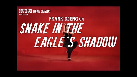 Snake in the Eagles Shadow 1978 (Jackie Chan)