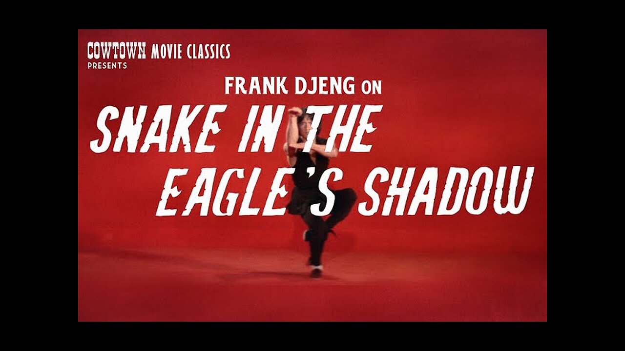 Snake in the Eagles Shadow 1978 (Jackie Chan)
