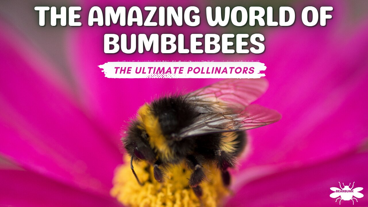 🌟 Amazing Bumblebees: The ULTIMATE Pollinators With Incredible Abilities! 🐝