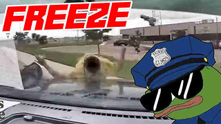 Police Run Down Armed Shoplifter With Patrol Car
