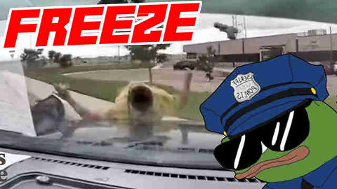 Police Run Down Armed Shoplifter With Patrol Car 