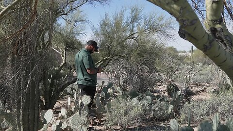 The Will Cain Show - Thursday, February 12