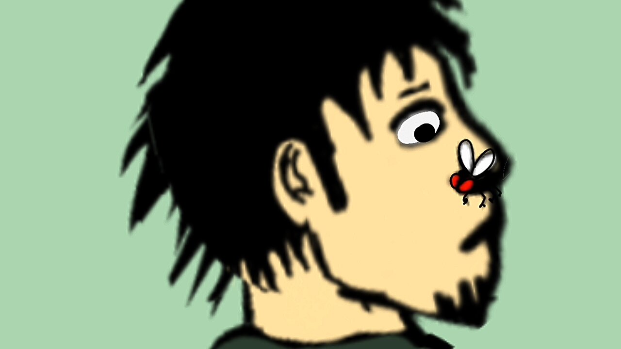 Fly