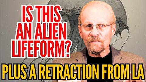 A Massive Flying Jellyfish Creature on Camera! | L. A. Marzulli