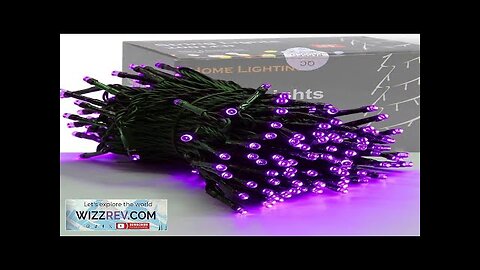 HOME LIGHTING 66ft Halloween Decorative Mini Lights 200 LED Green Wire Fairy Review