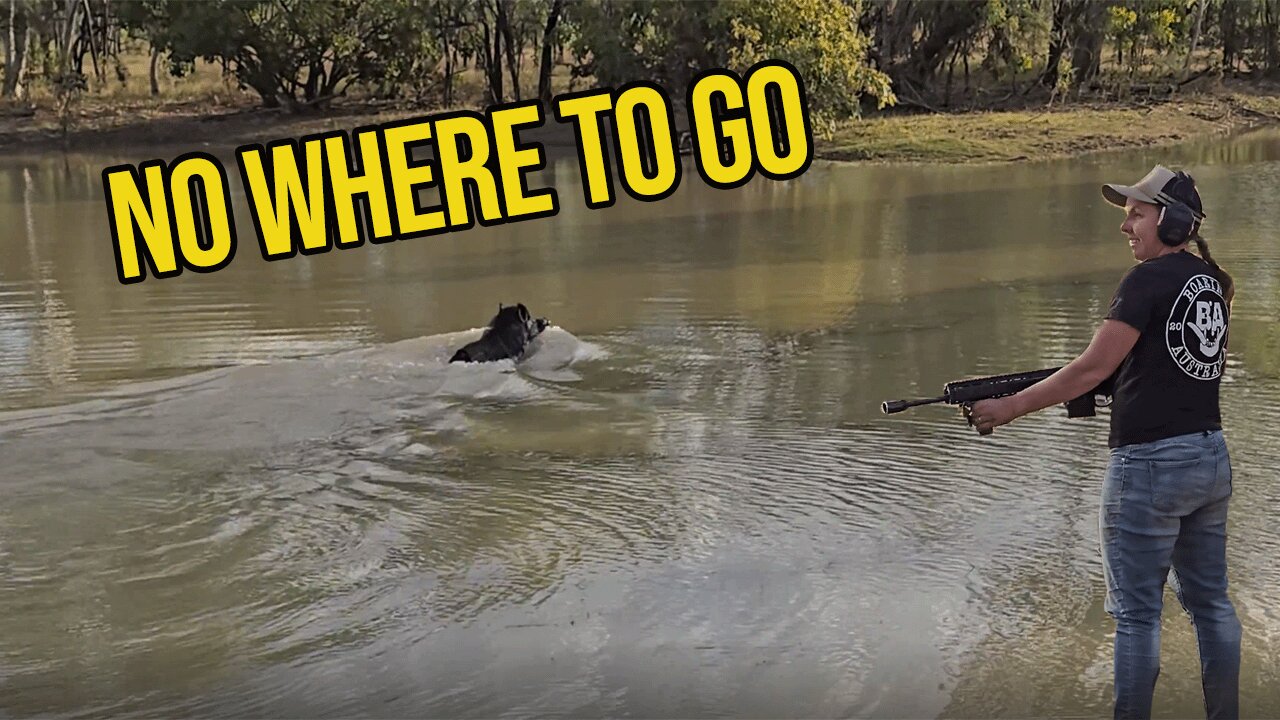 Family hunting WILD BOAR , buggys boars and quad bikes
