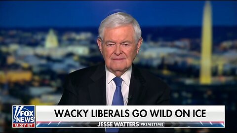 Newt Gingrich: Somali Fraud Is An Extraordinary Problem