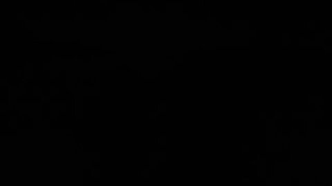 Pairs moving, using white light in blackout conditions.