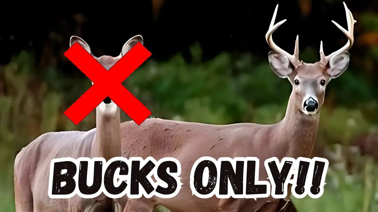 Bucks Only