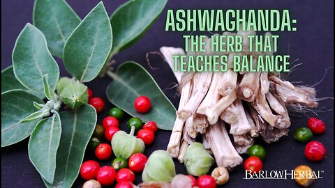 The Health Benefits of Ashwagandha