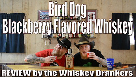Bird Dog Blackberry Flavored Whiskey