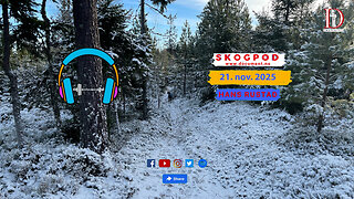 Skogpod 21. november 2025