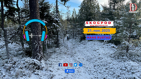 Skogpod 21. november 2025