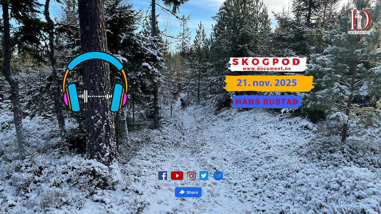 Skogpod 21. november 2025
