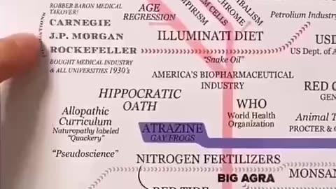 They captured our medical system