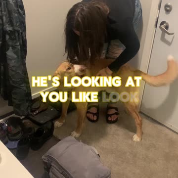 Dog Loves His Mom!🐶👩🥰