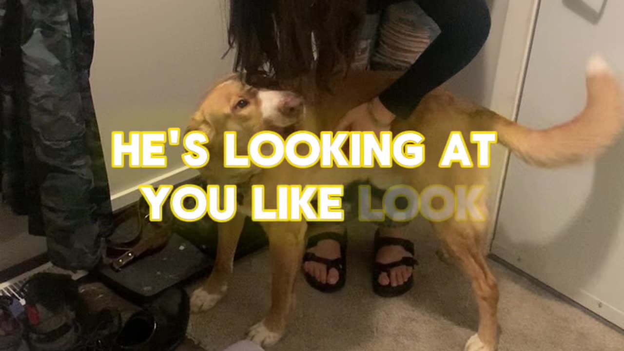 Dog Loves His Mom!🐶👩🥰