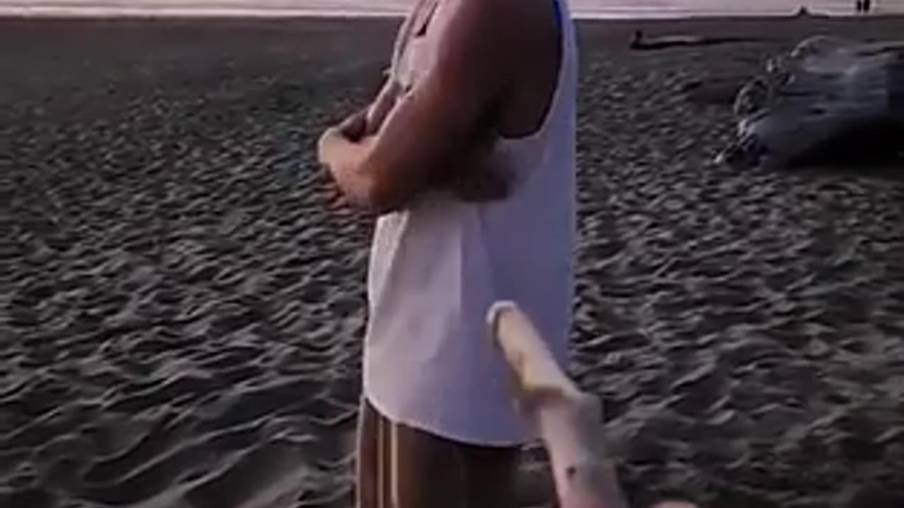 🤣🏏 Wait For The Ending... Guys With Sticks Fail! | FunFM