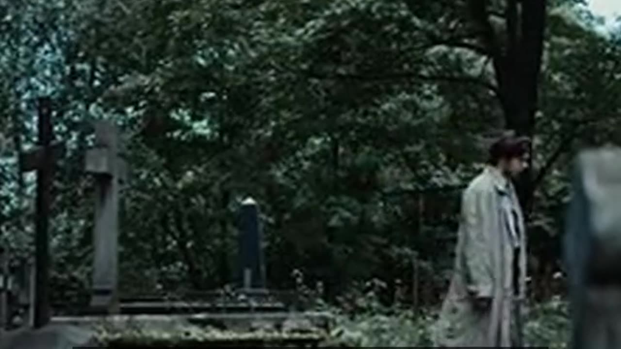 Daily Horoscope | Taurus 🌟