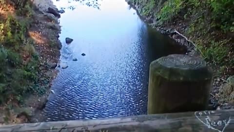 7 Bridges #greatlakes #lakemichigan