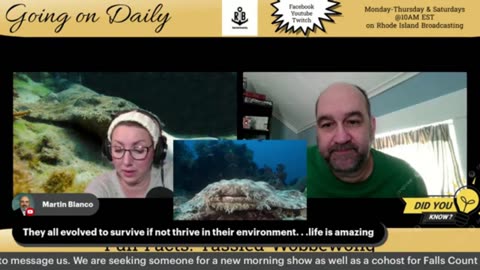 Fun Facts e1: Tassled Wobbewong