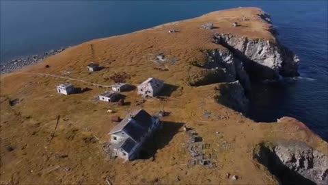 🧠❄️ Polar Bears Take Over Abandoned Weather Station! | FeedMyCuriosity