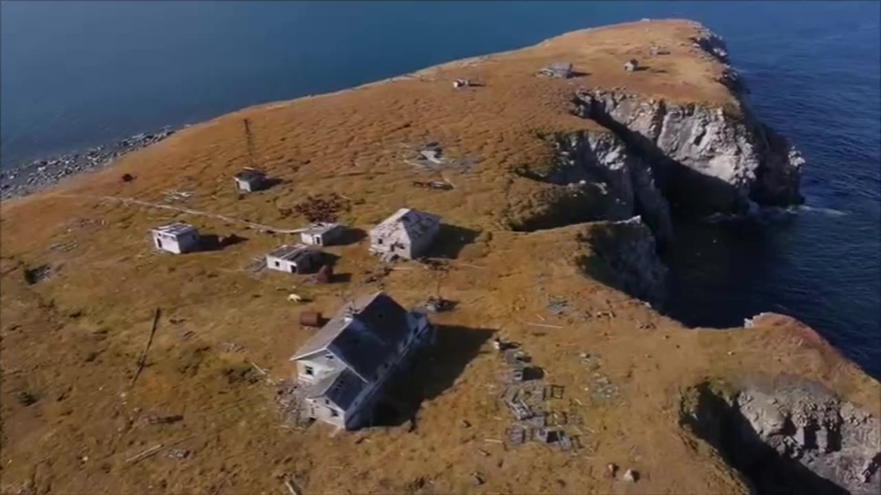 🧠❄️ Polar Bears Take Over Abandoned Weather Station! | FeedMyCuriosity
