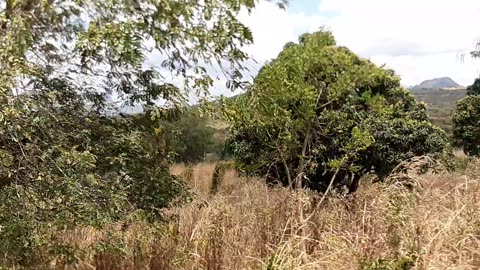 SLOW MOTION VIDEO OF MY VERY LONG SOLO ROAD TRIP THRU EAST AFRICA FOR THE 1ST TIME. WHAT MEMORIES!!