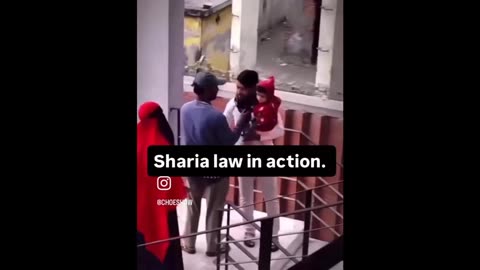 fren news17 - GHOSTS IN THE MACHINE 1 🐸 WeekendWarrior17