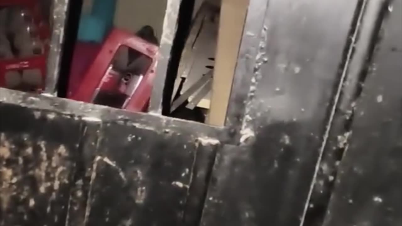 live paranormal activity