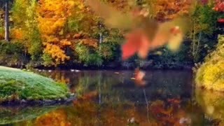 Divine Beauty - Autumn landscapes, nature photography, autumn video