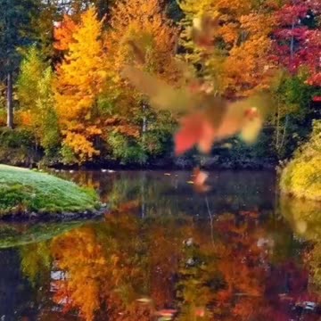 Divine Beauty - Autumn landscapes, nature photography, autumn video
